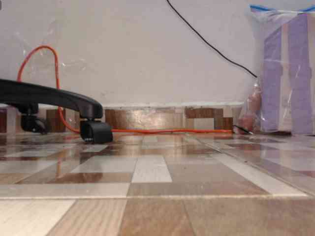 dakkohott webcam