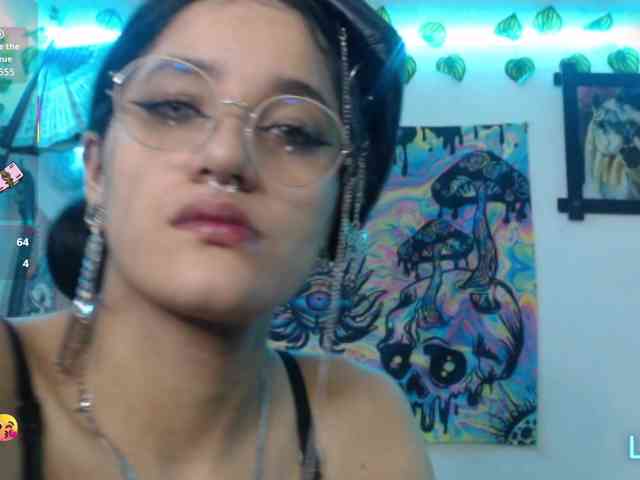 dakkohott webcam