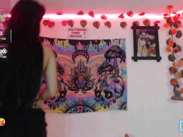 dakkohott webcam