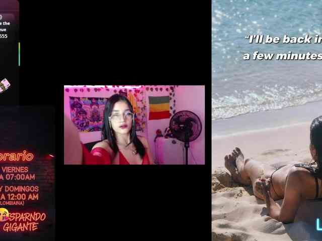 dakkohott webcam