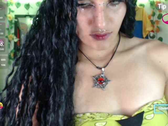 dakkohott webcam