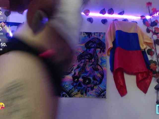 dakkohott webcam