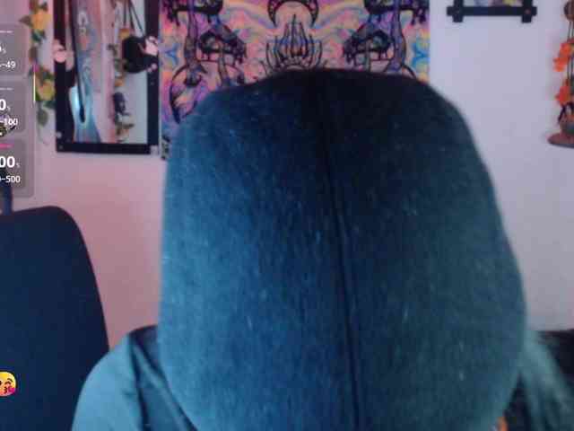 dakkohott webcam