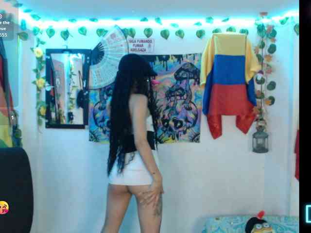 dakkohott webcam