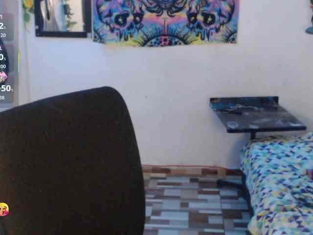 dakkohott webcam