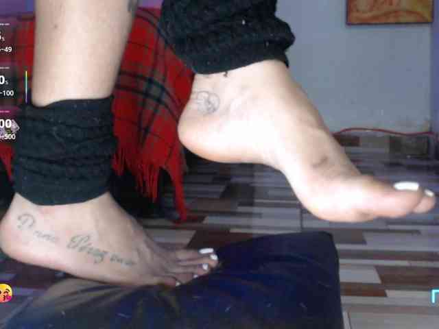 dakkohott webcam