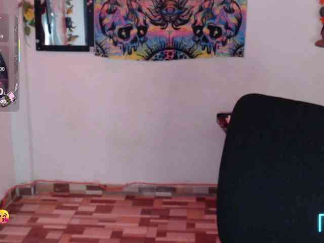 dakkohott webcam