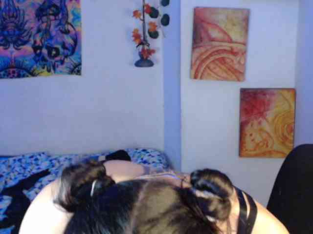 dakkohott webcam