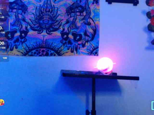 dakkohott webcam