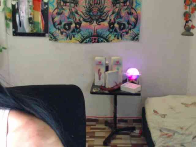 dakkohott webcam