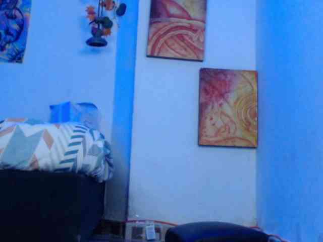 dakkohott webcam