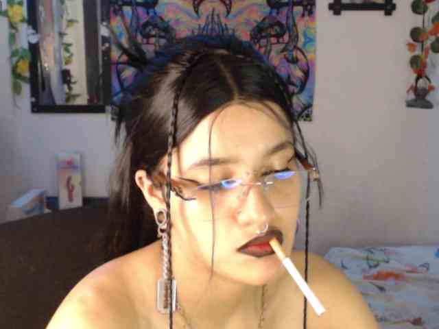 dakkohott webcam