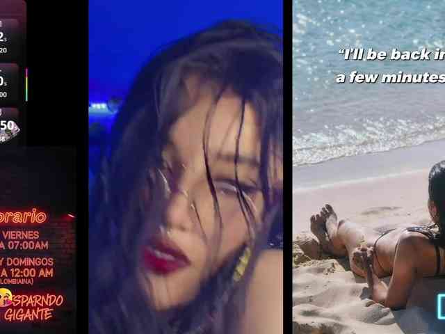 dakkohott webcam