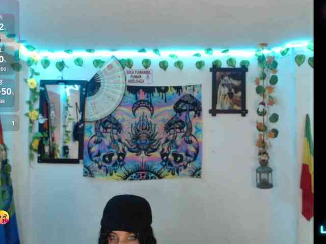 dakkohott webcam
