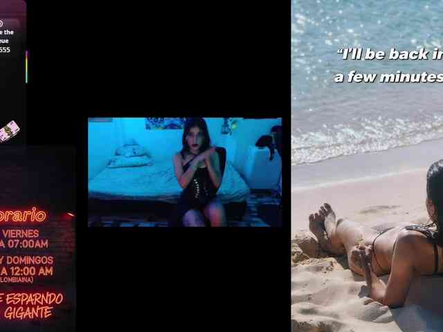 dakkohott webcam