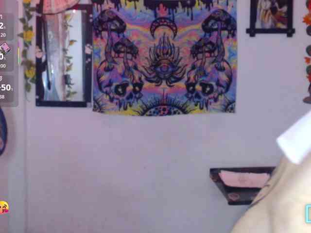 dakkohott webcam