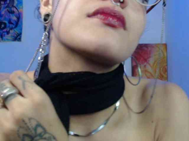 dakkohott webcam