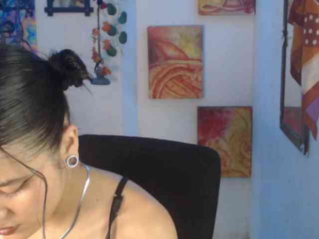 dakkohott webcam
