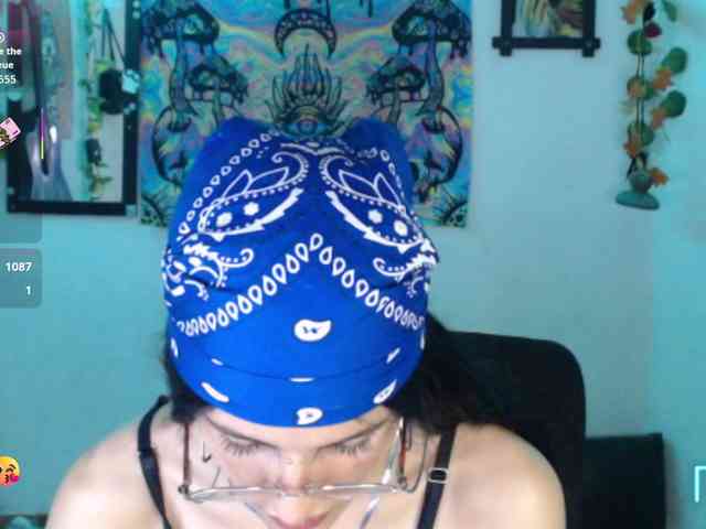 dakkohott webcam