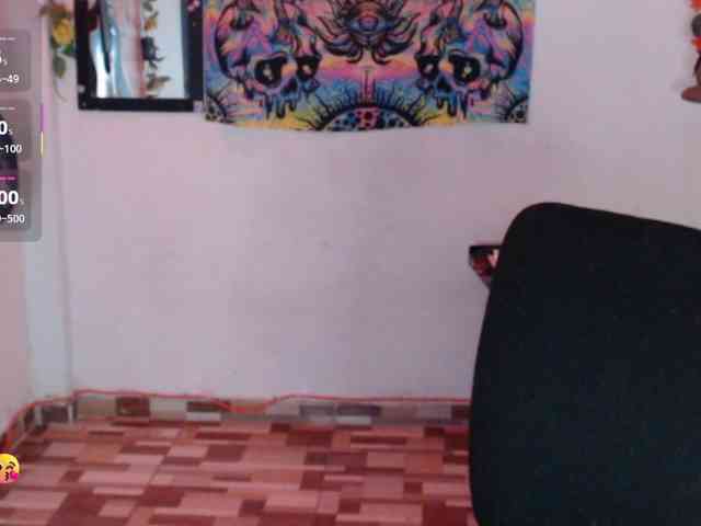 dakkohott webcam