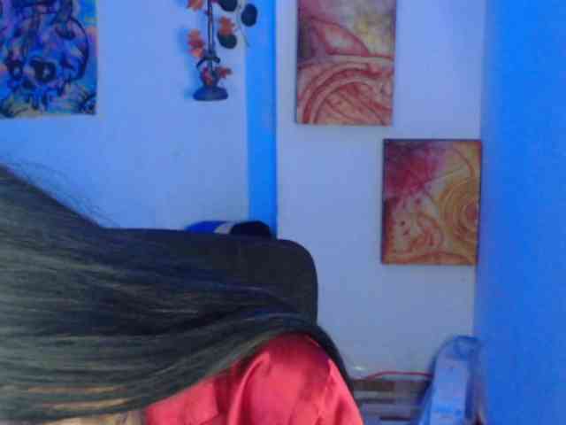 dakkohott webcam