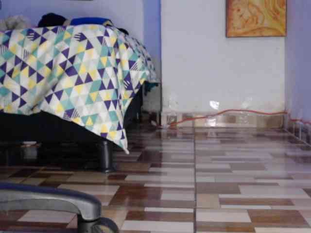 dakkohott webcam
