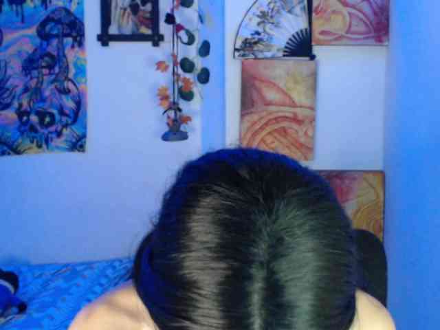 dakkohott webcam