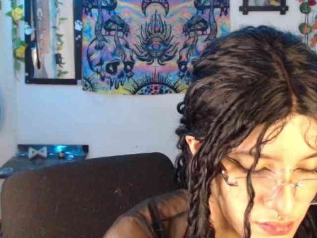 dakkohott webcam