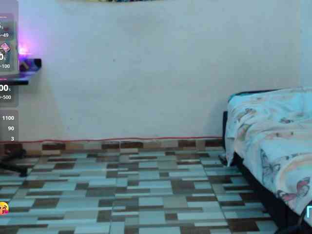 dakkohott webcam