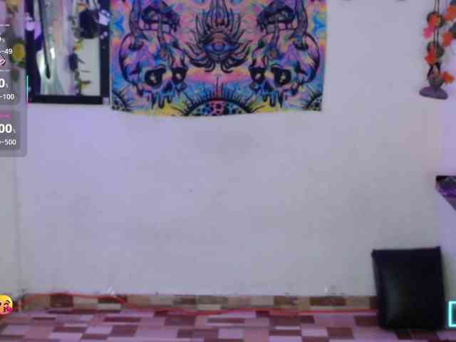 dakkohott webcam