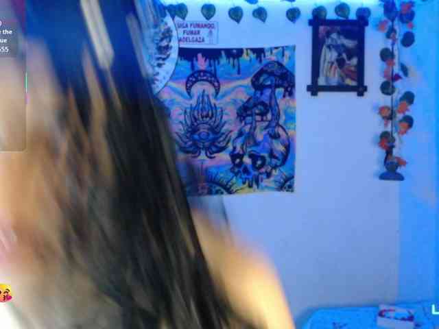 dakkohott webcam