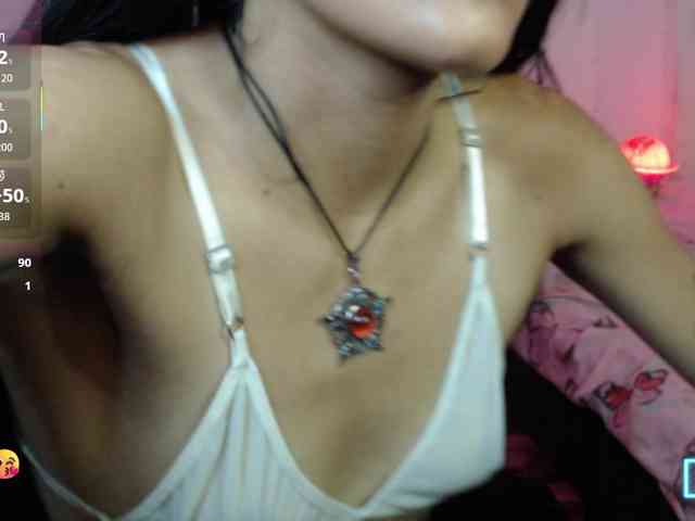 dakkohott webcam