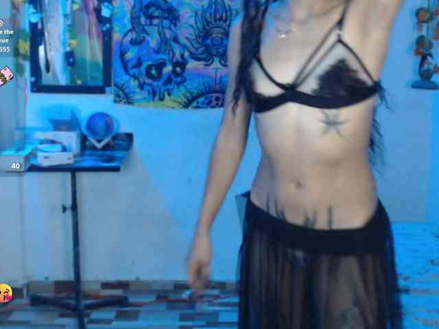 dakkohott webcam