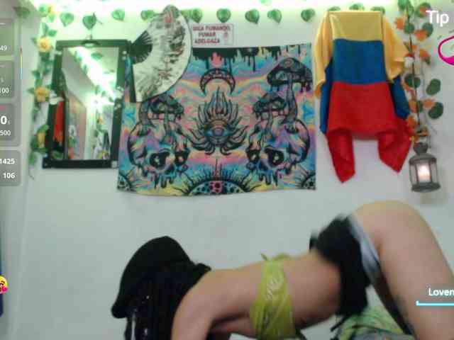 dakkohott webcam