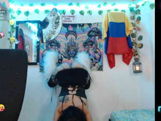 dakkohott webcam