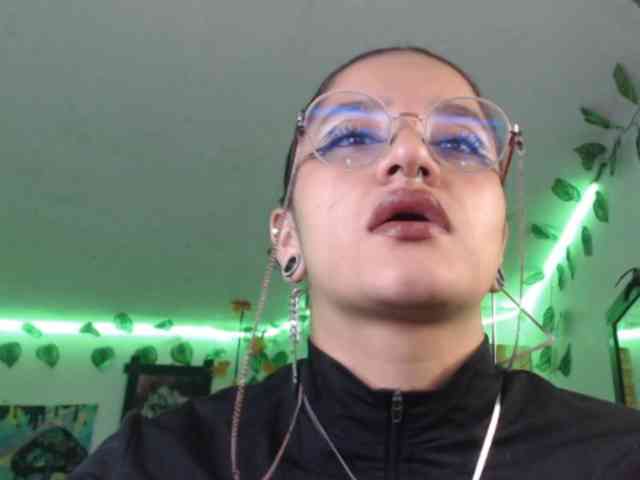 dakkohott webcam