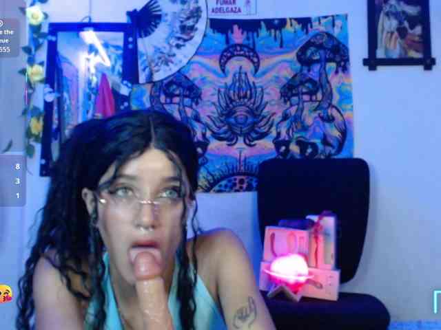 dakkohott webcam