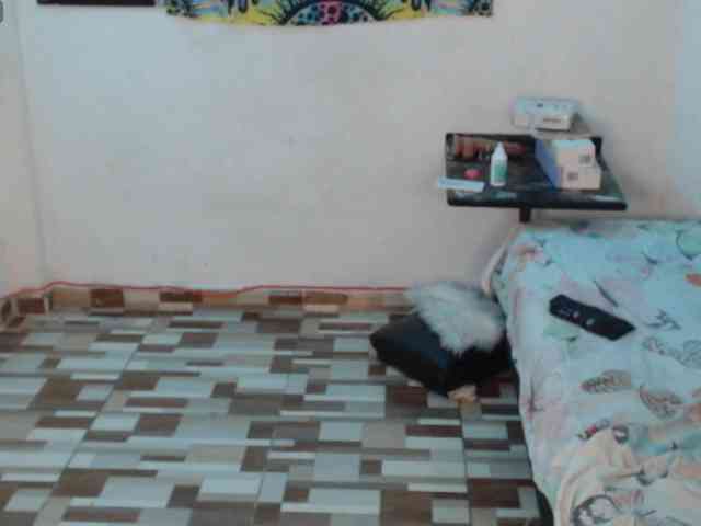 dakkohott webcam
