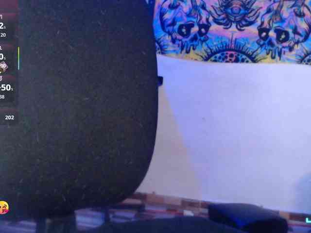 dakkohott webcam