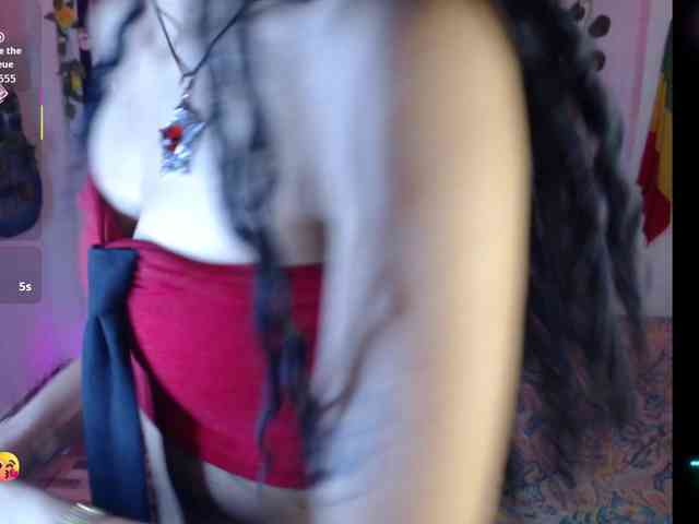 dakkohott webcam