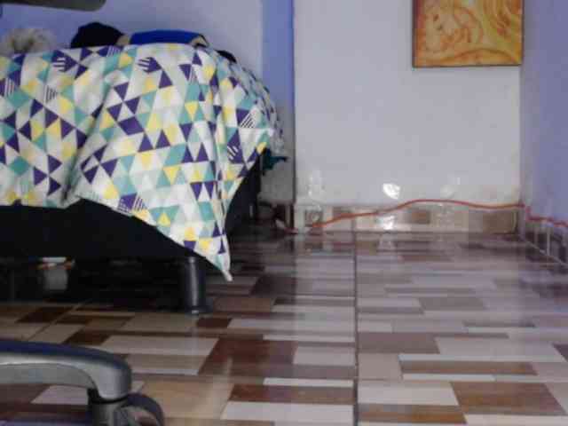 dakkohott webcam