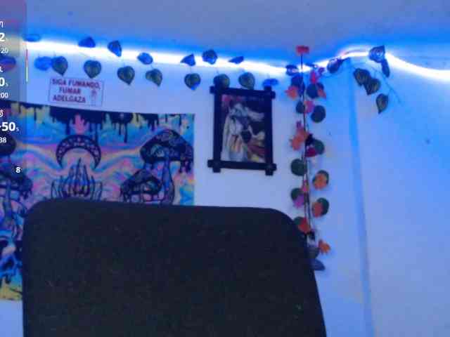 dakkohott webcam