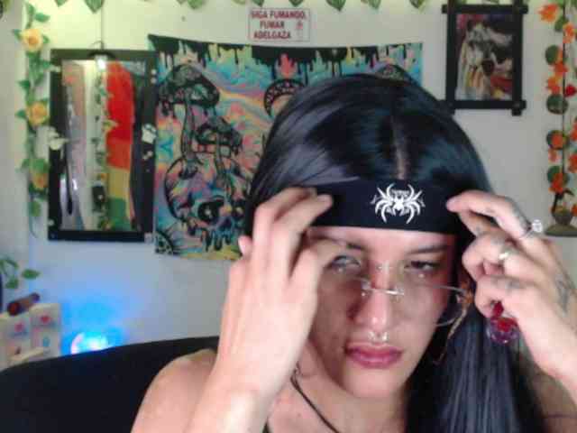dakkohott webcam