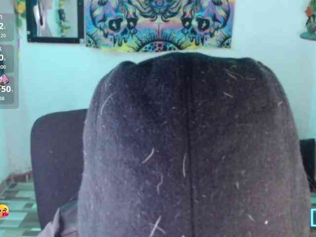 dakkohott webcam