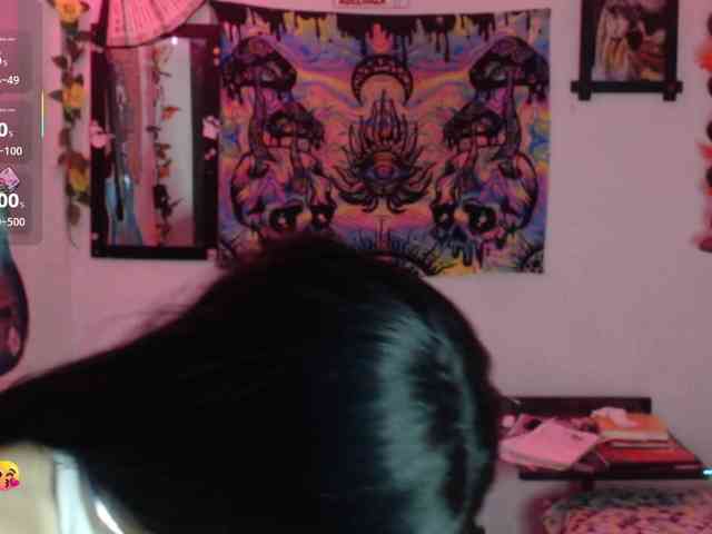 dakkohott webcam