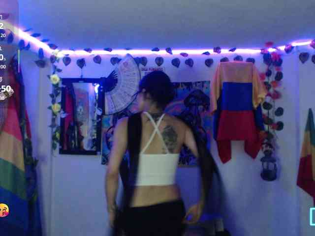 dakkohott webcam