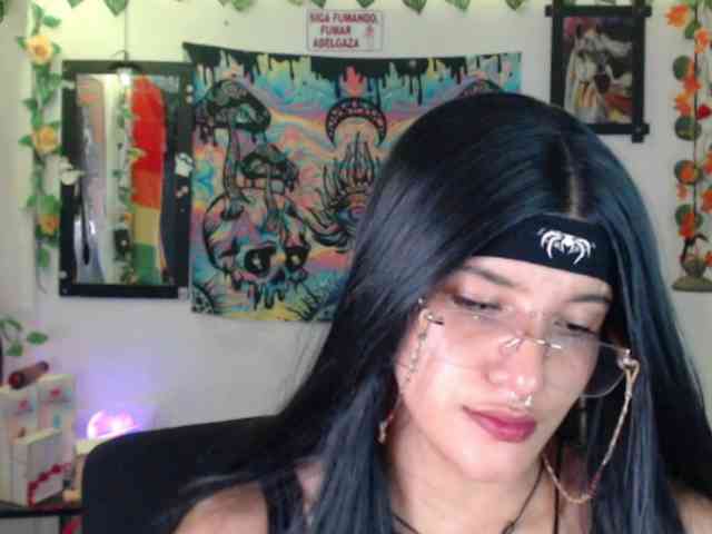 dakkohott webcam