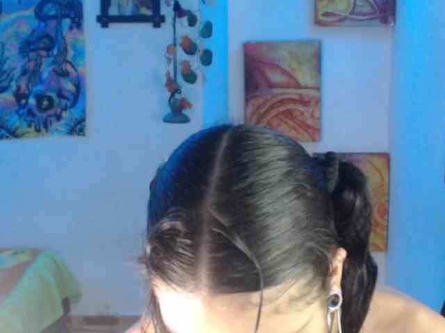 dakkohott webcam