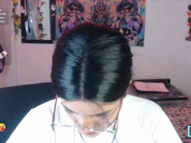 dakkohott webcam