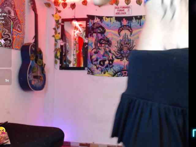 dakkohott webcam